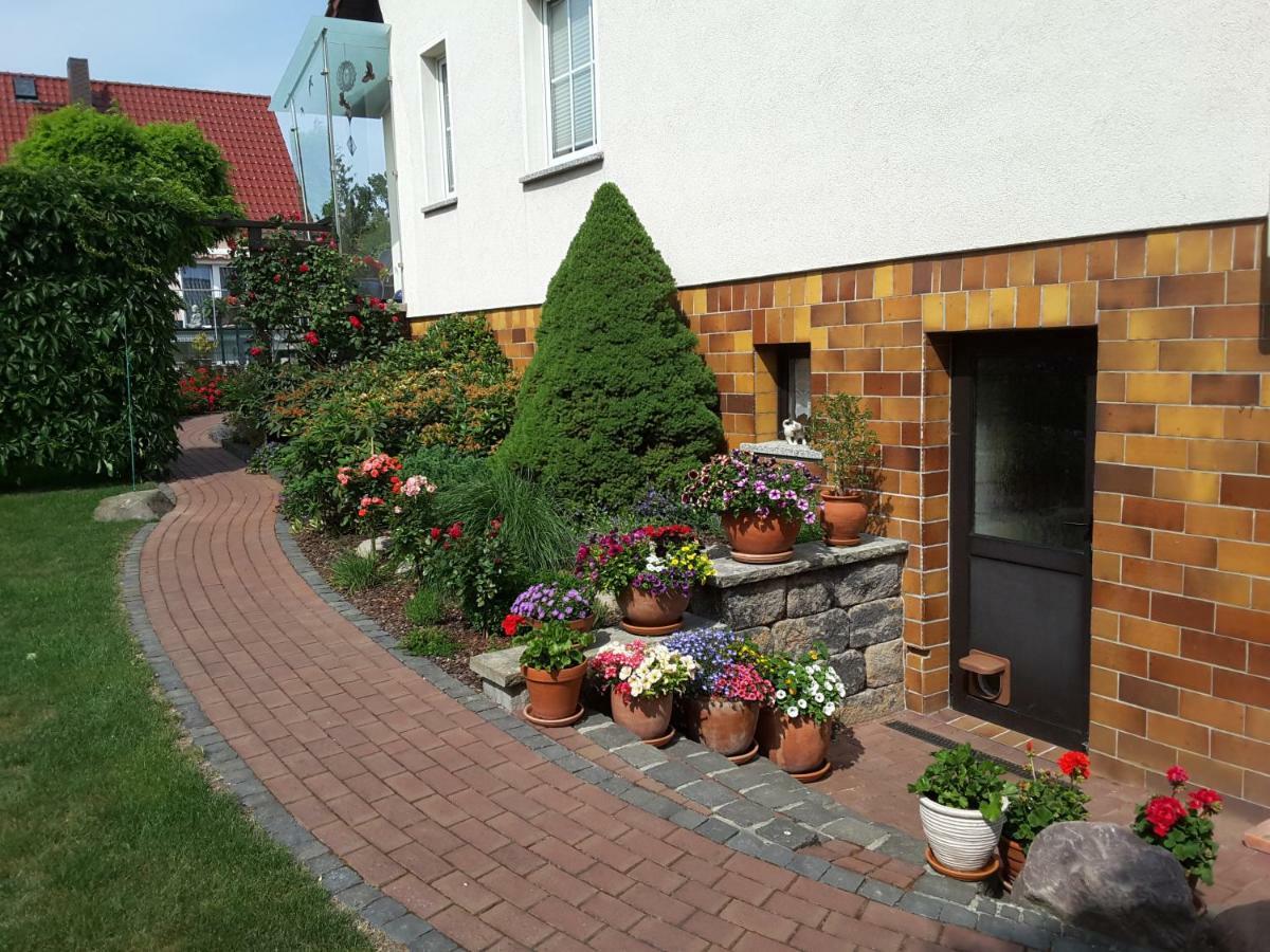 Ferienwohnung Schubert Sagard Exterior foto